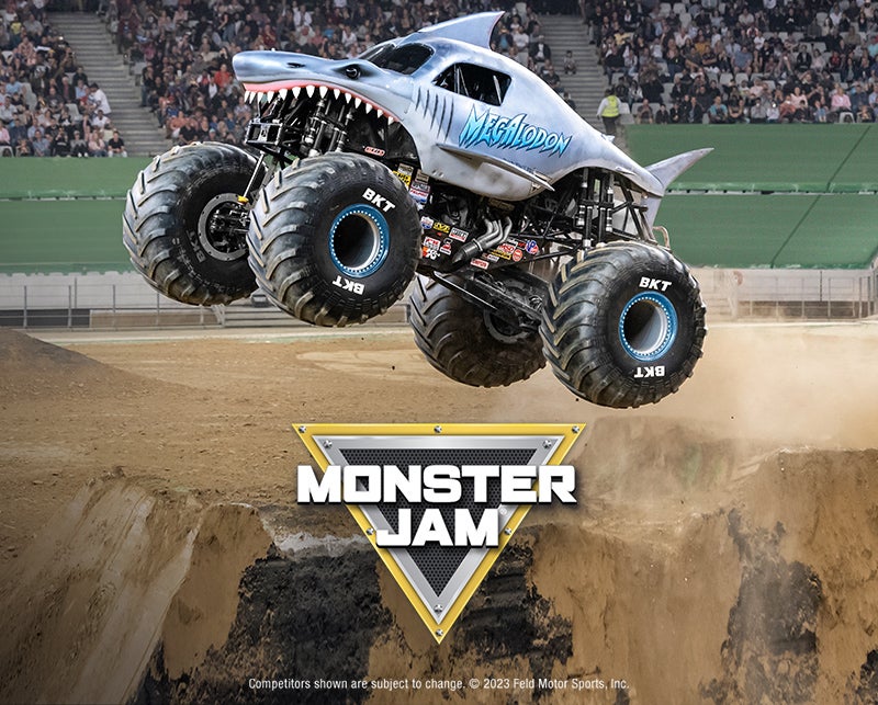 MONSTER TRUCK CURFEW free online game on